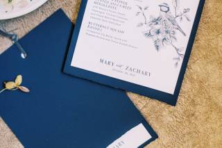 Brown Fox Creative - 14
