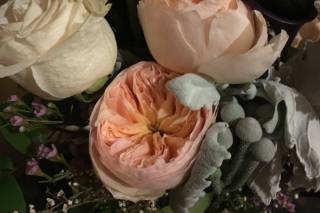 Designs by Janet Black - 18