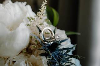 Ivory and Beau - 102