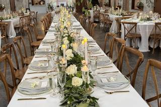 Golden Thistle Design - 22
