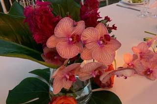 Everwild Blooms - 14