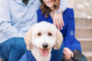 Carolina Palms Photography - 24