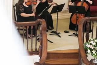 Ariana Strings - 28