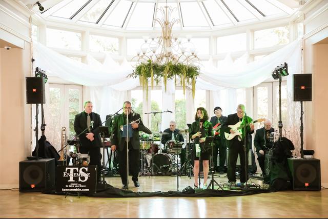The TSE Band - 3