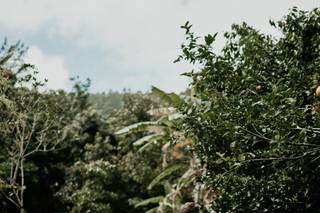 TheWanderingB Photography - 40