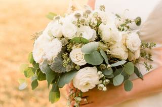 The Rosy Posy - 81
