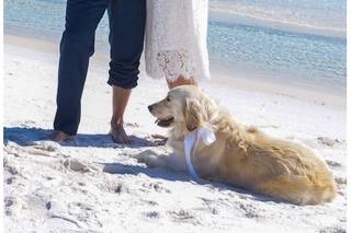 Simple Beach Wedding - 66