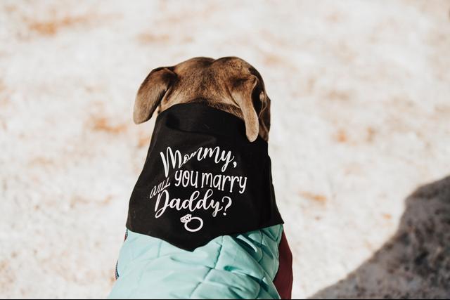 Lizzy Beerman Photography - 1