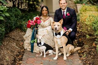 Happy Bark & Tails - 36