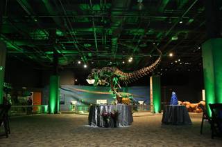 Orlando Science Center - 57