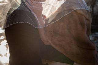 Steven Rosen Photography - 30