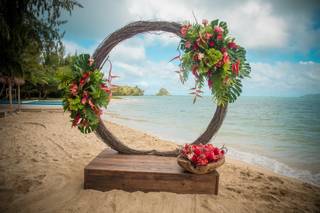 Marcia Campbell Photography - 5