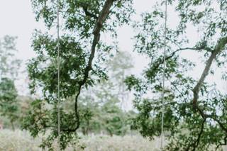 Red Maple Vineyard - 45