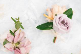Radian Photography - 13