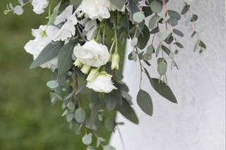 Robin Wood Flowers - 13