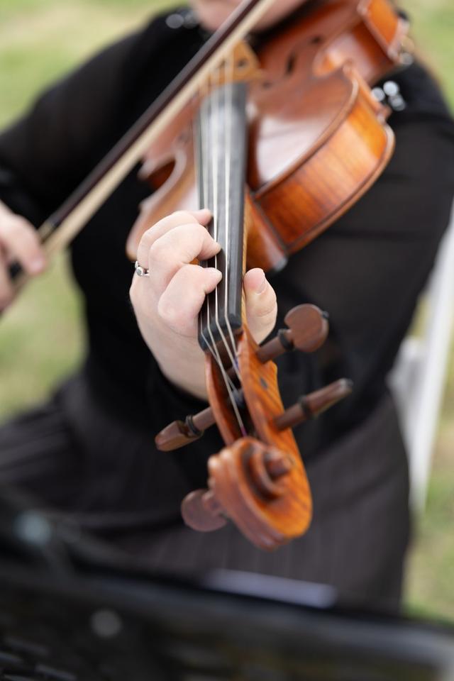 Melodious Strings - 2