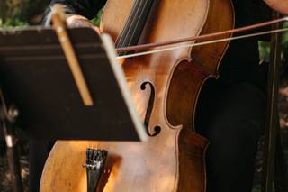 Columbia River Strings - 6