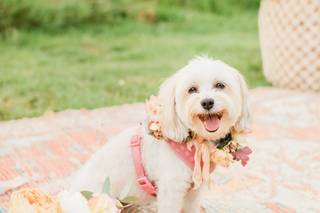 Cassandra Shah Flowers & Event Design - 33