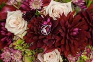 Jim Barbere Photography - 10