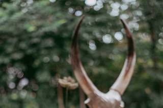 Ashley Ricci Photography - 71