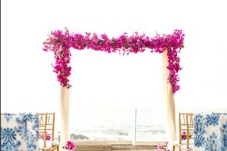 Talbot Ross Events - 66