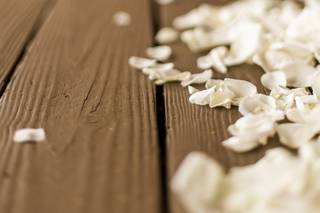 Petals A Florist - 11