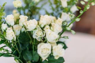 Brigette Burgman Photography - 12