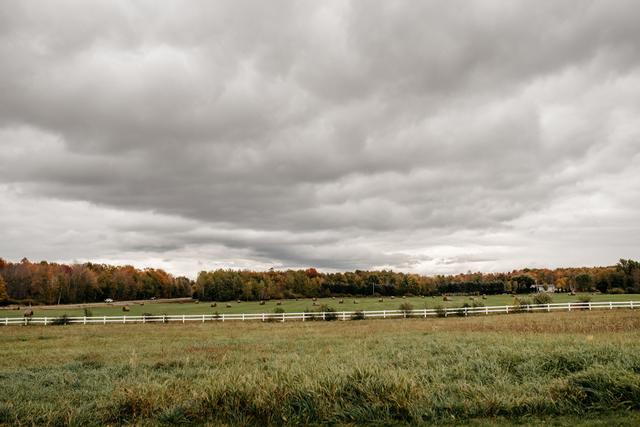 Cobblestone Farms - 3