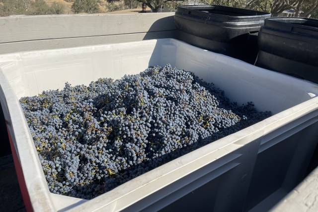 Kuiper Vineyards 4