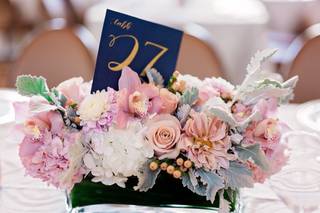 Millicent Finney & Associates - 8