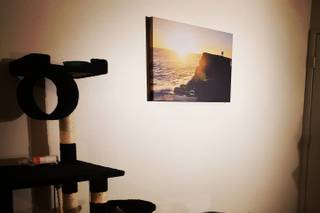 Pro Digital Photos - 36