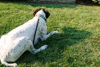 Match Made Studios - 5