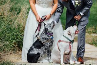 Andrea Bibeault: A Wedding Photojournalist - 25
