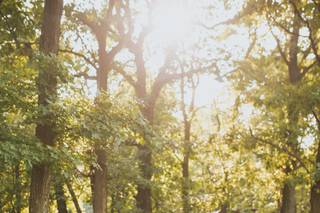 Justin Kunimoto Photography - 103