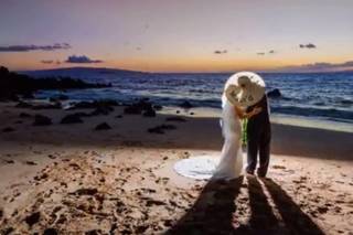Penny Palmer Photography - 65
