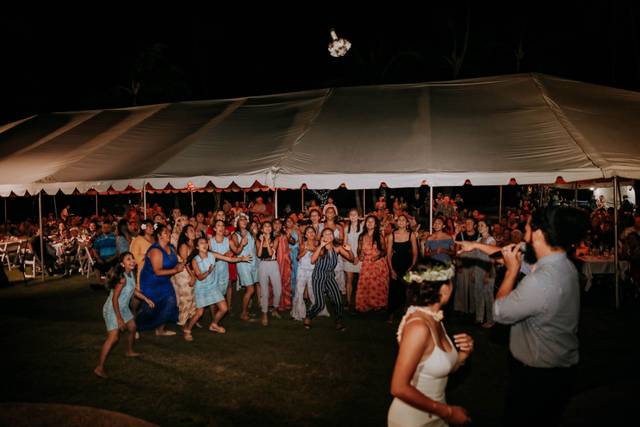 The Perfect Wedding DJs 3