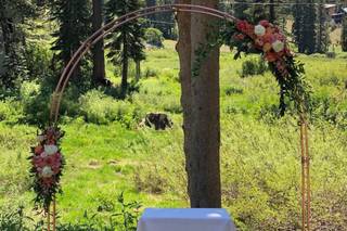 Love & Lupines Floral Design - 50