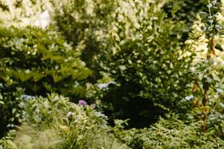 Puget Sound Farm Tables - 7