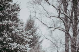 Ashley Ricci Photography - 70