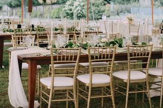 Viburnum Designs - 8