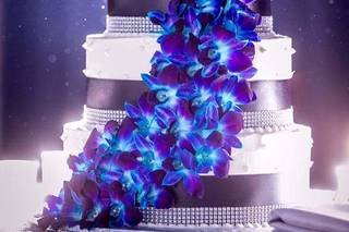 Bryland Photography - 10