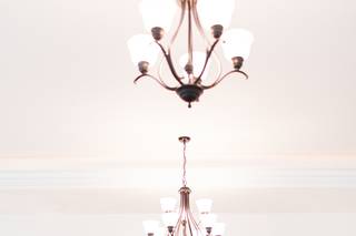 LB Floristry - 57
