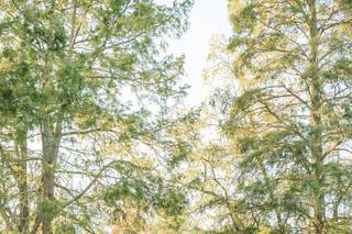 Lindsey Markle Photography - 10