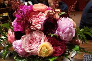 Lovely Peonies - 131