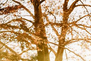 Katie Barfield Photography - 12