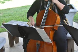 Viol Consort - 26