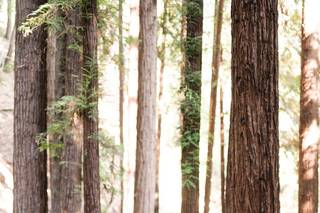 Sarah Fischback Photography - 17