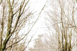 United Photography - 49