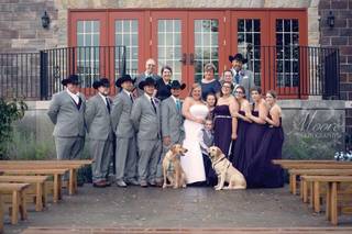 Willow Tree Photography - 8