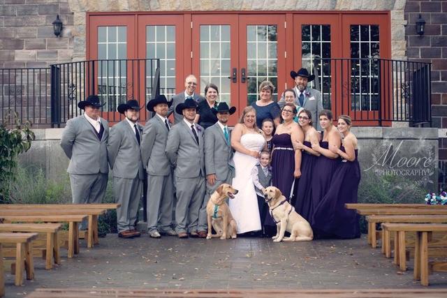 Willow Tree Photography - 3